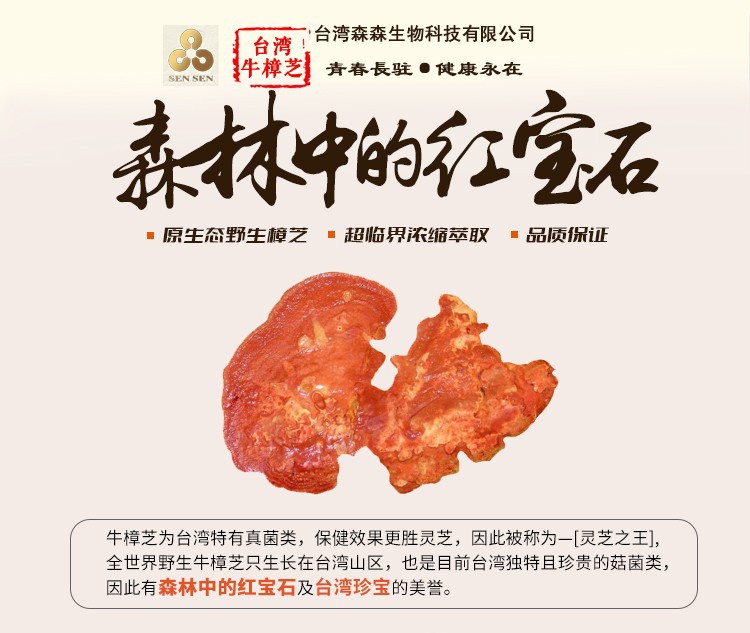 台湾森森生物牛樟芝含锭央视报道的堪比黄金贵·癌症克星·药王之王·台湾牛樟芝介绍